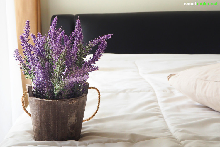 Besser Schlafen Mit Zimmerpflanzen, Für Gute Luft Im Schlafzimmer for Lavendel Im Schlafzimmer