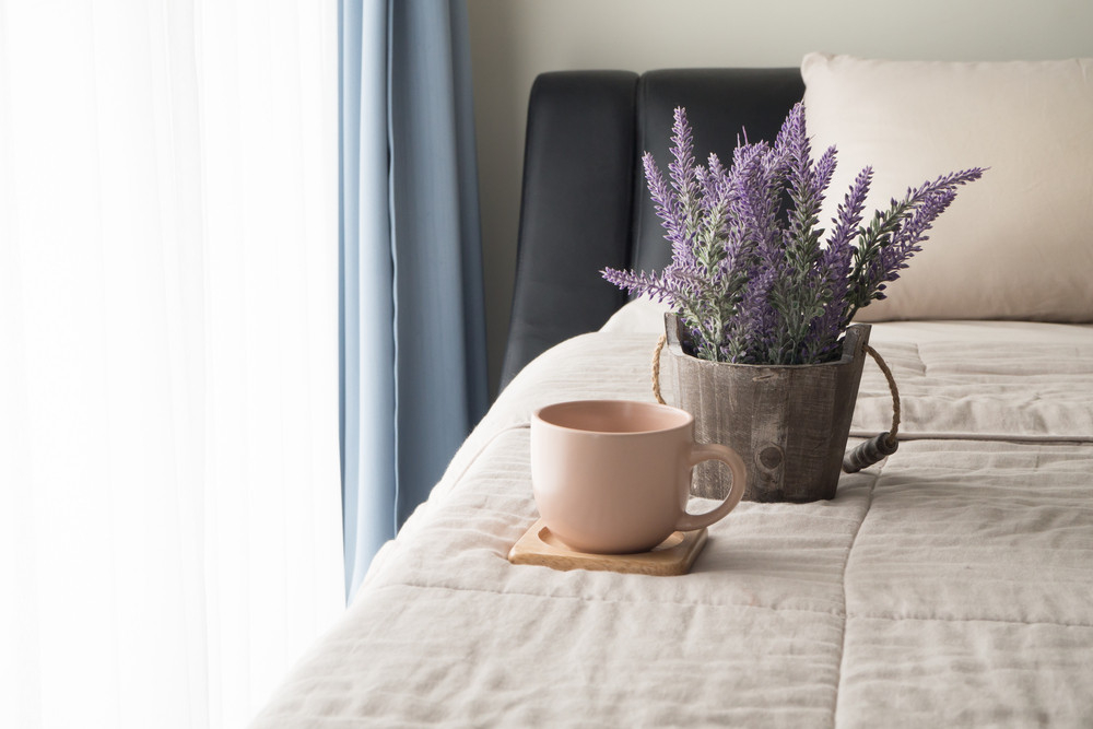 Diese Pflanzen Solltest Du Nicht In Dein Schlafzimmer Stellen for Lavendel Im Schlafzimmer